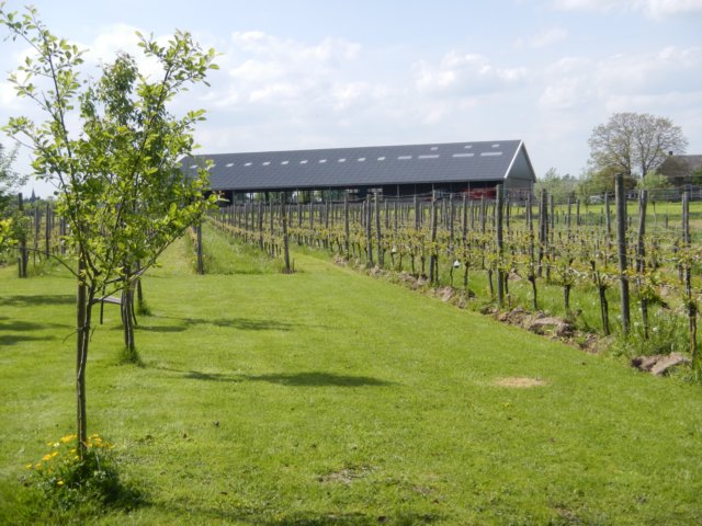 HWK 2012 Hummelo 142.jpg